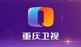 重庆卫视最新爆料,最新爆料震惊全国！