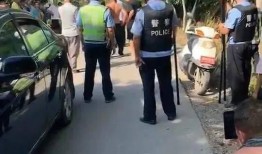 魏县最新事件爆料,揭秘背后真相与影响