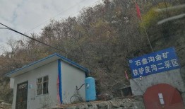 王庄爆料二虎是谁呀最新消息,二虎最新动向揭秘，热点事件追踪