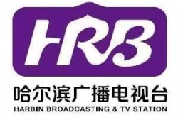哈尔滨微头条最新爆料,揭秘神秘事件背后真相！