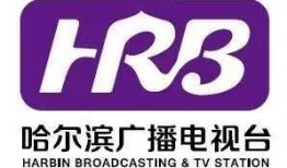 哈尔滨微头条最新爆料,揭秘神秘事件背后真相！