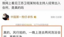 卓伟最新爆料背影,神秘背影引发热议，真相即将揭晓！