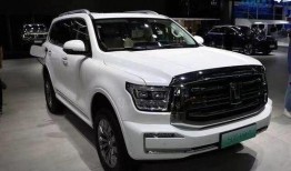 坦克500最新爆料油耗,高效动力与经济油耗的完美结合