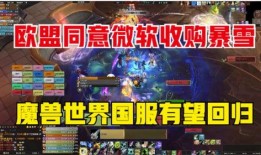 暴雪国服爆料最新消息,神秘新内容即将揭晓，玩家期待值飙升！