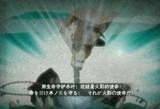 今年水门爆料最新消息,揭秘政府内部惊天秘密