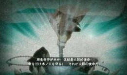 今年水门爆料最新消息,揭秘政府内部惊天秘密