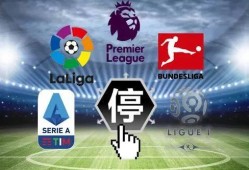 五星体育爆料最新消息新闻,最新体育新闻动态速递