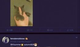 网红八卦最新爆料微博号,独家内幕大公开！