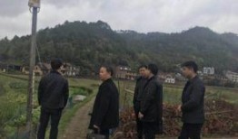 陈博文最新动态爆料,揭秘娱乐圈惊人内幕！