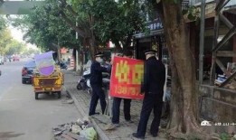 王庄爆料二虎是谁呀最新消息,二虎最新动向揭秘，热点事件追踪