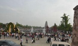 西安大雁塔人潮最新爆料,最新现场爆料揭秘