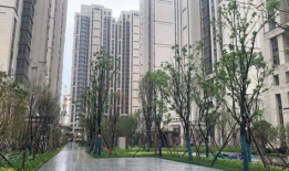 清徐龙悦华府最新爆料,揭秘高端住宅区的神秘面纱