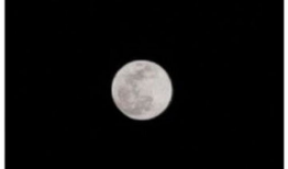 海丰月亮爆料视频下载最新,最新动态一网打尽