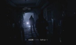 生化8ps5最新爆料,惊悚剧情与视觉盛宴即将来袭