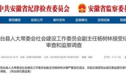 爆料大皖新闻最新消息,揭秘事件背后惊人真相